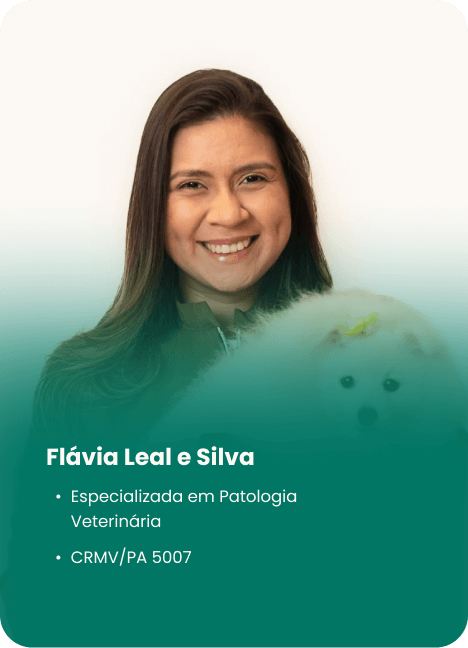 EQUIPE - 4 (1)